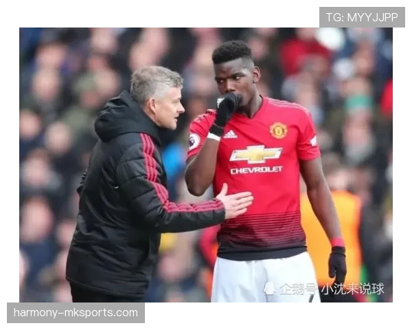 罗德里与坎特：后腰角色分化，从扫荡覆盖转向体系节拍